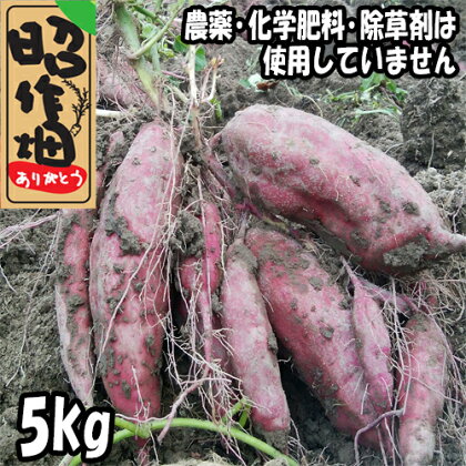 さつまいも食べ比べセット　5kg