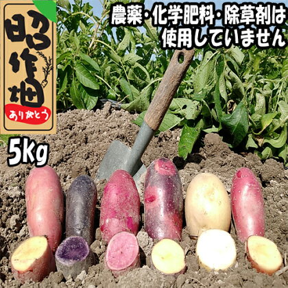 じゃがいも食べ比べセット5kg