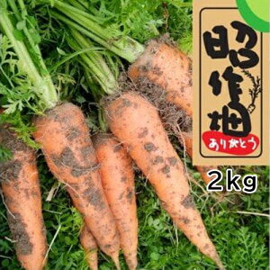 【ふるさと納税】　土付きにんじん2kg