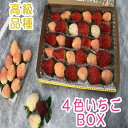 【ふるさと納税】　高級品種4色いちごBOX