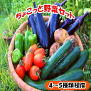 【ふるさと納税】　ちょこっと野菜セット