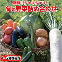 　旬の野菜セット