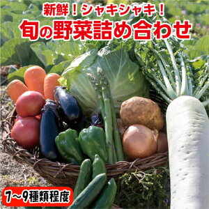 【ふるさと納税】　旬の野菜セット