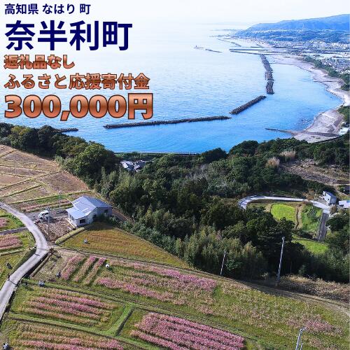 999999-6[応援寄附金]高知県奈半利町 1口 30万円 返礼品なしのご寄附 [奈半利町役場]