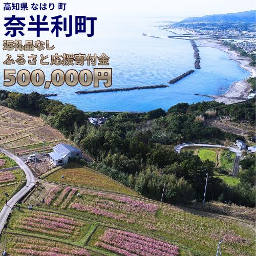999999-8[応援寄附金]高知県奈半利町 1口 50万円 返礼品なしのご寄附 [奈半利町役場]