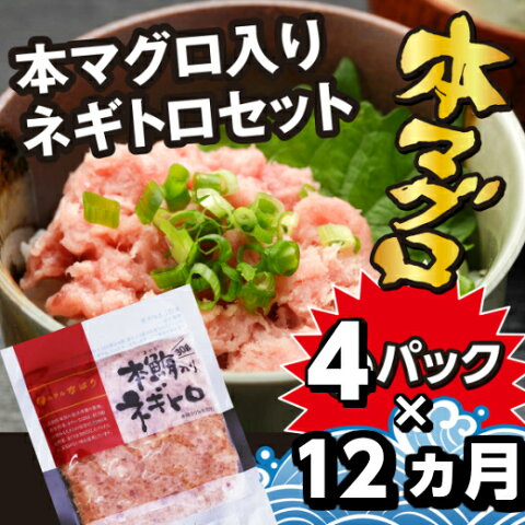 【ふるさと納税】31ti375bc　丼ぶりごはんにぴったり！　本マグロ入りネギトロ毎月発送！！.（4P×12ヶ月）