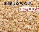 【ふるさと納税】31genmai01bc（令和2年8月発送開始）なはりの水稲うるち玄米　1.5kg×3袋