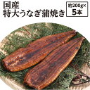 【ふるさと納税】31kogun001 ふんわり♪やわらか♪う