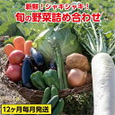 【ふるさと納税】ve003b 新鮮!シャキシャキ!旬の野菜詰...