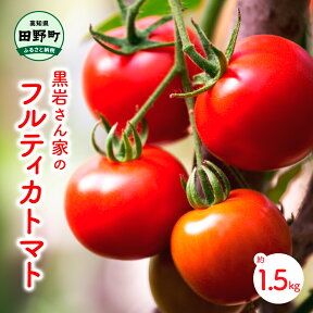 【ふるさと納税】黒岩さん家のフルティカトマト 約1.5kg フルティカ トマト ミディトマト とまと 詰め合わせ 新鮮野菜 トマト 美味しい 野菜 厳選 新鮮 甘い 夏野菜 サラダ tomato ギフト 贈答用 贈り物 プレゼント ふるさとのうぜい 返礼品 高知県 高知 6000円