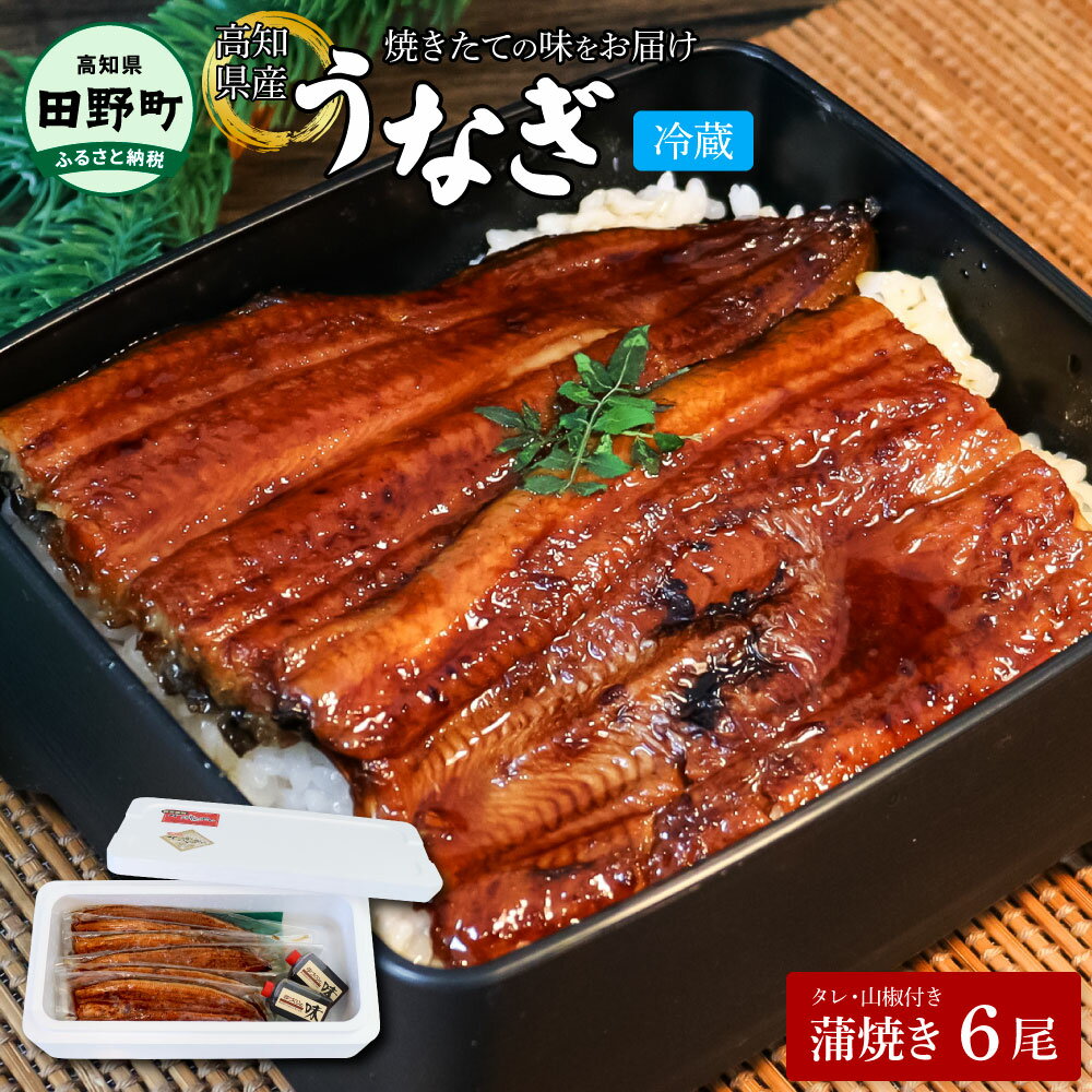 〜四国一小さなまち〜 ヤマシン特選うなぎの蒲焼き6尾（特製タレ付き） 130g×6尾 うなぎ 鰻 ウナギ 国産 高知県産 6尾 蒲焼 かばやき 特製タレ 冷蔵 配送 高知 ふるさとのうぜい 故郷納税 40000円 返礼品