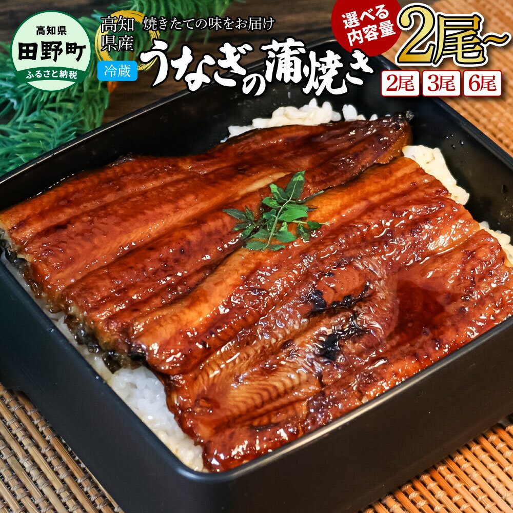 〜四国一小さなまち〜 ヤマシン特選うなぎの蒲焼き 2尾 3尾 6尾(特製タレ付き)130g×2尾 130g×3尾 130g×6尾 うなぎ 鰻 ウナギ 国産 高知県産 蒲焼 かばやき 特製タレ 冷蔵 配送 高知 ふるさとのうぜい 故郷納税 15000円から 返礼品