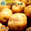 【ふるさと納税】《令和7年11月中旬から順次発送》 ~四国一小さなまちのじゃがいも~ 高知県田野町の大野台地で採れた令和7年産『秋じゃが 』10kg 訳アリ品! 大野台地 秋じゃが じゃがいも デジマ イモ ジャガイモ 芋 いも 訳あり 訳 ポテト 旬