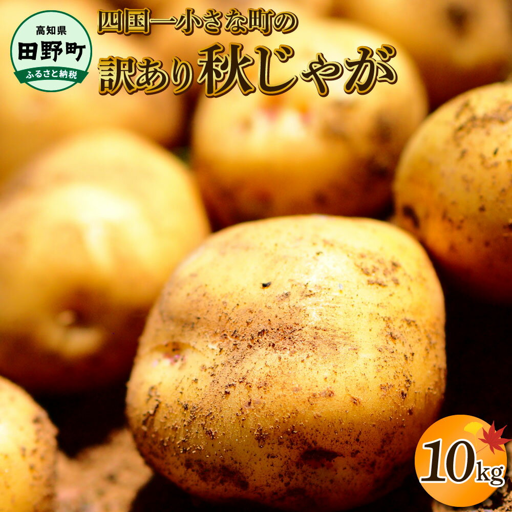 【ふるさと納税】《令和5年12月中旬から順次発送》 〜四国一小さなまちのじゃがいも〜　高知県田野町の大野台地で採れた令和5年産『秋じゃが 』10kg 訳アリ品！　大野台地 秋じゃが じゃがいも デジマ イモ ジャガイモ 芋 いも 訳あり 訳 ポテト 旬