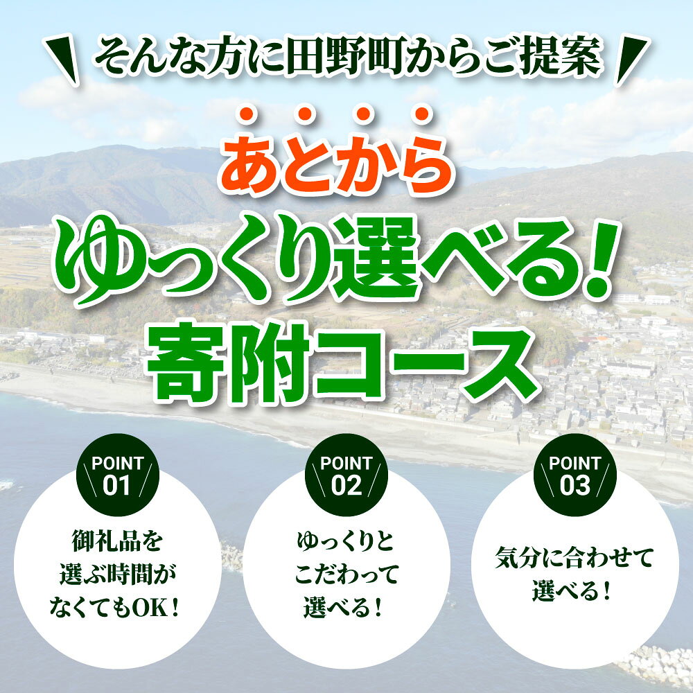 【ふるさと納税】返礼品は後からゆっくり選べる寄附コース★A★ あとから選べる おすすめ 人気 カツオ かつおのたたき うなぎ 鰻 肉 酒 塩 魚 魚介 後から ふるさと カタログ 100000円 10万 十万 お取り寄せ 高知県 田野町 故郷納税 返礼品 コンシェルジュ f393037-tano-10000360 高知県田野町 サンプル画像3