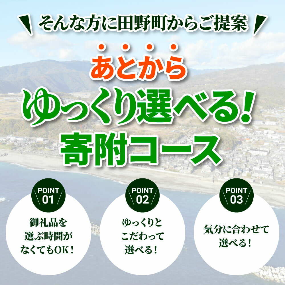 高知県田野町の画像3