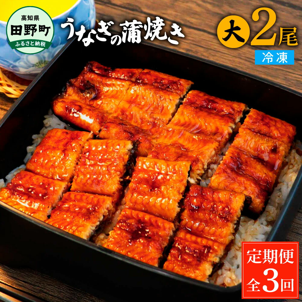 田野町産うなぎの蒲焼き(大) 2尾×3回 定期便 3ヶ月 定期コース 1尾あたり120〜150g タレ付き 山椒付き うなぎ 鰻 ウナギ 蒲焼き かば焼き 無頭 おいしい ふっくら 養殖 国産 お取り寄せ 冷凍 配送 送料無料 高知 ふるさとのうぜい 故郷納税 返礼品 46000円