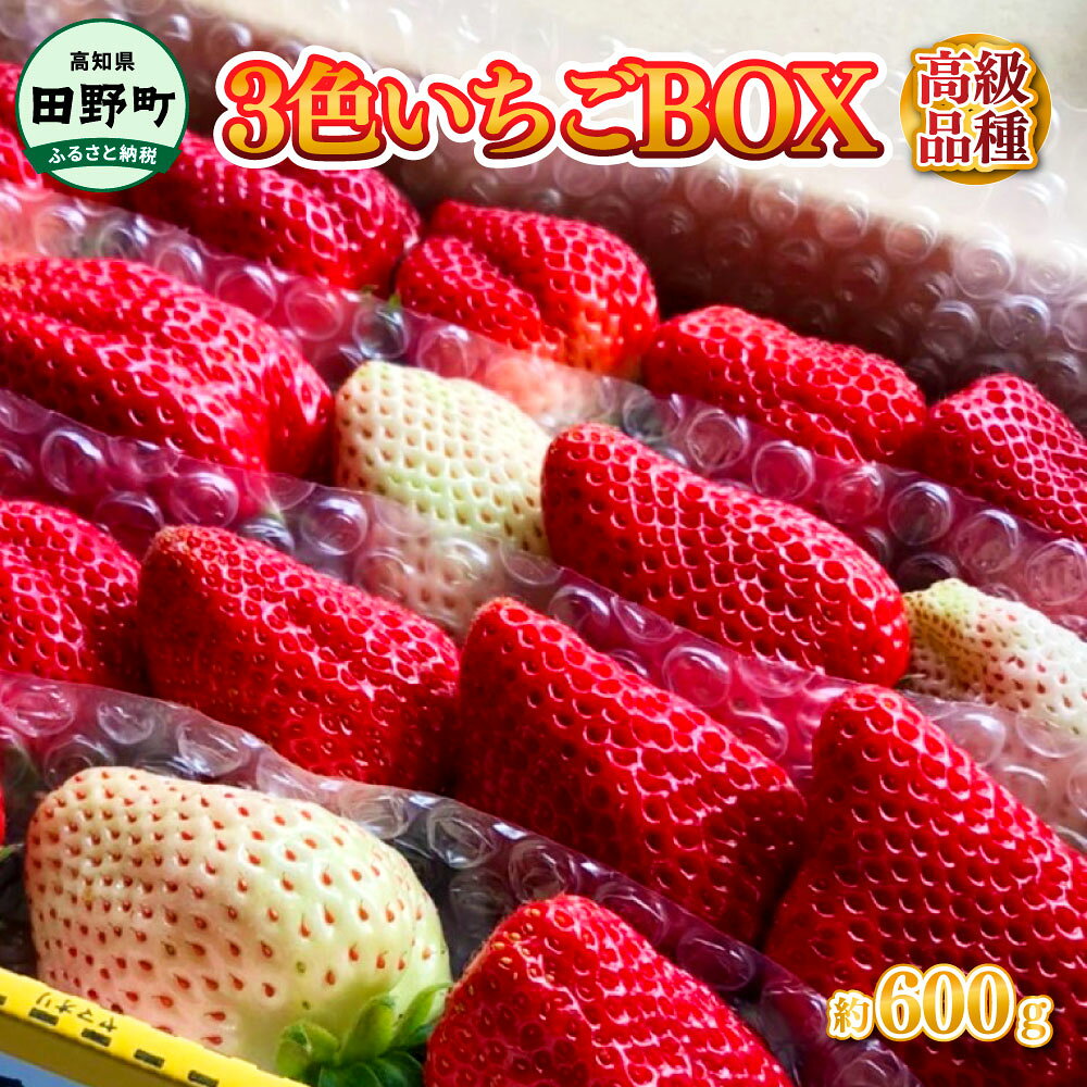 ≪農園直送≫ 高級品種3色いちごBOX 計600g程度 いちご イチゴ 苺 果物 フルーツ 詰め合わせ 高級 品種 海惚れいちご 天使のイチゴ 真紅の美鈴 送料無料 お取り寄せ 通販 常温 冷蔵 配送 ふるさとのうぜい 故郷納税 高知 高知県産 14000円 返礼品