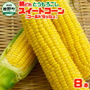 9位! 口コミ数「0件」評価「0」～四国一小さなまちのとうもろこし～先行予約★2024年5月末頃発送開始予定★ とうもろこし スイートコーン ゴールドラッシュ 8本 数量限定･･･ 