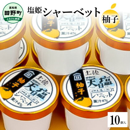 塩姫シャーベット 柚子 100ml×10個 柚子 ミネラル 田野屋塩二郎 天日塩 アイス あいす シャーベット 冷凍 配送 洋菓子 デザート お菓子 高知県 高知 返礼品 故郷納税 ふるさとのうぜい 田野町