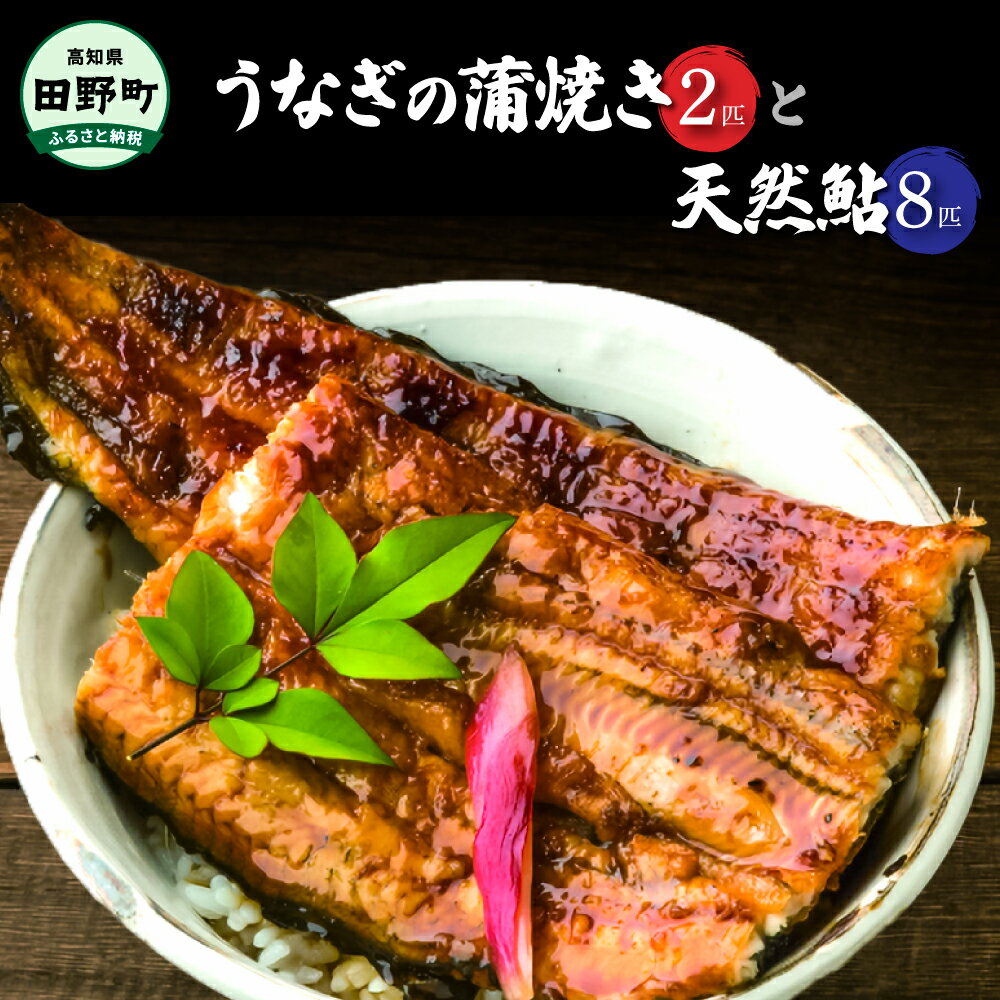 商品説明名称 田野町産うなぎの蒲焼き2匹と天然鮎8匹セット 原材料名 蒲焼きのタレ（酒、みりん、醤油、ザラメ、水あめ、山椒、キサンタンガム）内容量 うなぎ蒲焼き（頭無し）約120g～150g×2本 天然鮎（15cm～）×8匹 蒲焼きのたれ×2個 山椒×2個 説明 四国一小さな町、田野町の養鰻所で手間ひまをかけて大切に育てられた養殖うなぎの蒲焼きと、奈半利川の天然鮎をセットにしてお届けいたします。 うなぎの蒲焼きは遠赤外線で焼き、土佐備長炭を使用して仕上げています。 ※うなぎの蒲焼きは冷蔵庫で解凍し、トースターで約4～5分温めると香ばしくなります。自家製のたれと、山椒をたっぷりとかけてお召し上がりください。 ※天然鮎は冷蔵庫で解凍し、塩焼きなどにしてお召し上がりください。 ※写真はイメージです。 消費期限製造日より冷凍保存で約30日 製造者田野町養鰻倶楽部 ・ふるさと納税よくある質問はこちら ・寄附申込みのキャンセル、返礼品の変更・返品はできません。あらかじめご了承ください。 類似商品はこちら 田野町産うなぎの蒲焼き2匹と天然鮎4匹セット20,000円〜冷凍〜　四国一小さなまち田野町産うなぎの蒲焼16,000円～◇冷凍◇　〜四国一小さなまち〜　田野町産うなぎ10,000円◇冷凍◇　〜四国一小さなまち〜　田野町産うなぎ45,000円◇冷凍◇　〜四国一小さなまち〜　田野町産うなぎ24,000円 ヤマシン特選うなぎ蒲焼き・わら焼き鰹たたき 16,500円 料理屋富士の特製うなめし5個入り 250g×13,500円〜四国一小さなまち〜 ヤマシン特選うなぎの蒲焼13,000円〜四国一小さなまち〜　ヤマシン特選うなぎの蒲焼22,000円新着商品はこちら2024/5/25★田野屋塩二郎完全天日塩★ 塩キャラメルのアマ5,500円2024/5/25★田野屋塩二郎完全天日塩★ プチシューラスク 5,000円2024/5/25★田野屋塩二郎完全天日塩★ アーモンドサブレ・5,000円再販商品はこちら2024/4/16 ～四国一小さなまちのお塩～ 塩職人 田野屋青12,000円2024/2/28 〜四国一小さなまち～ ★香りの教室 帆南★ 7,000円2024/2/28 四国一小さなまち 『香りの教室 帆南』 アロ7,000円2024/05/28 更新 「ふるさと納税」寄付金は、下記の事業を推進する資金として活用してまいります。 寄付を希望される皆さまの想いでお選びください。 (1) 産業の振興に関する事業 (2) 教育、文化の振興に関する事業 (3) 医療、福祉の充実に関する事業 特徴のご希望がなければ、町政全般に活用いたします。 入金確認後、注文内容確認画面の【注文者情報】に記載の住所にお送りいたします。 発送の時期は、寄附確認後7日以内を目途に、お礼の特産品とは別にお送りいたします。