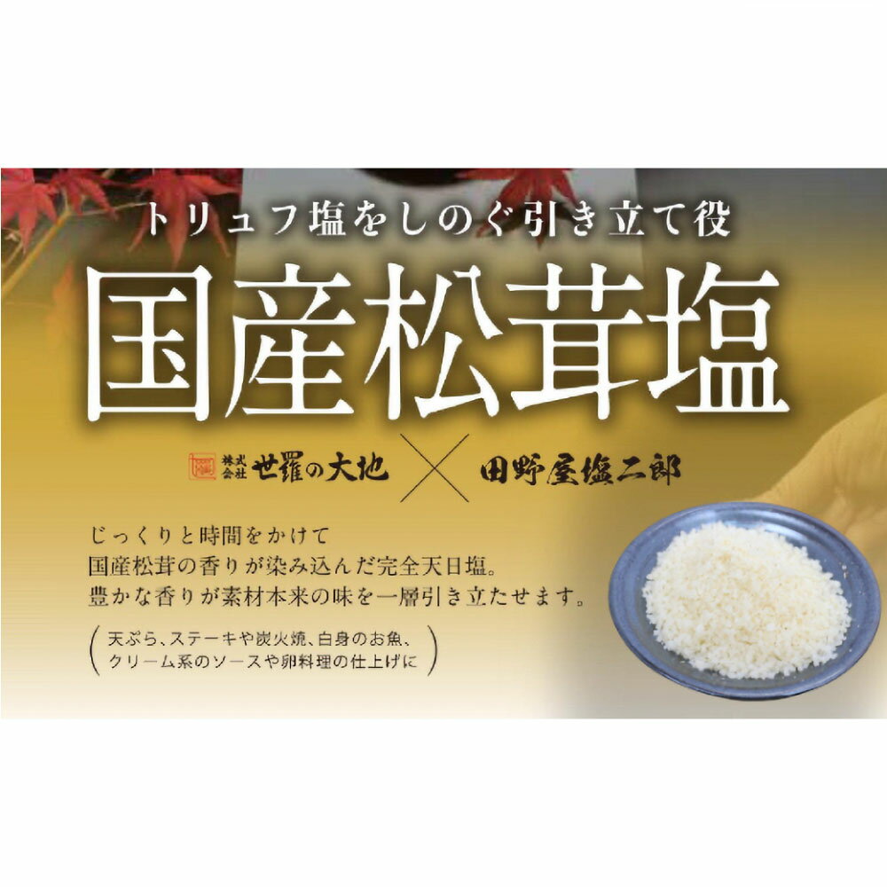 【ふるさと納税】 田野屋塩二郎の松茸塩『芳香』25g 数量限定 完全天日塩 国産松茸塩 田野屋塩二郎 世羅の大地 松茸 塩 松茸塩 お塩 しお 天然塩 国産 調味料 料理 つけ塩 食用 海水 肉 海鮮 常温 配送 高知県 高知 返礼品 故郷納税 ふるさとのうぜい 田野町