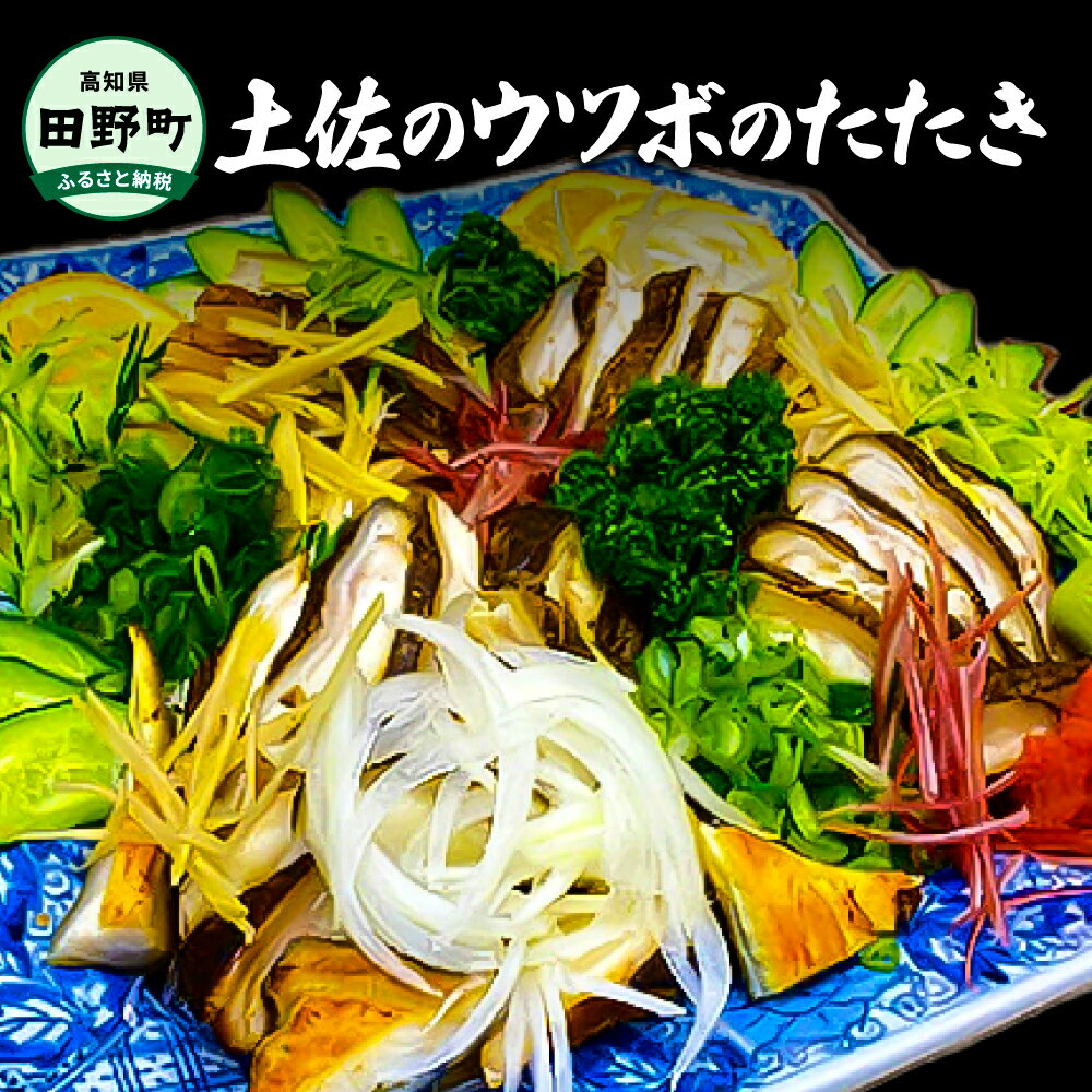 土佐のウツボのタタキ ヤマシン たたき うつぼ 魚 海鮮 250g~300g コラーゲン 特製タレ付き 珍味 お取り寄せグルメ お祝い 冷蔵配送 土佐料理 郷土料理 国産 高知県産 土佐 高知 返礼品 故郷納税 ふるさとのうぜい 田野町