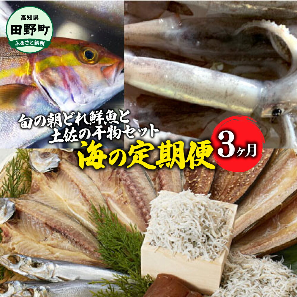 〜旬の朝どれ鮮魚と土佐の干物セット〜 カネアリ水産の海の定期便3ヶ月 季節 四季 鮮魚 加工食品 干物 ちりめんじゃこ カツオ サバ 金目鯛 カンパチ 朝どれ 冷凍配送 冷蔵配送 定期コース 3回 国産 高知県産 高知 返礼品 故郷納税 ふるさとのうぜい 田野町