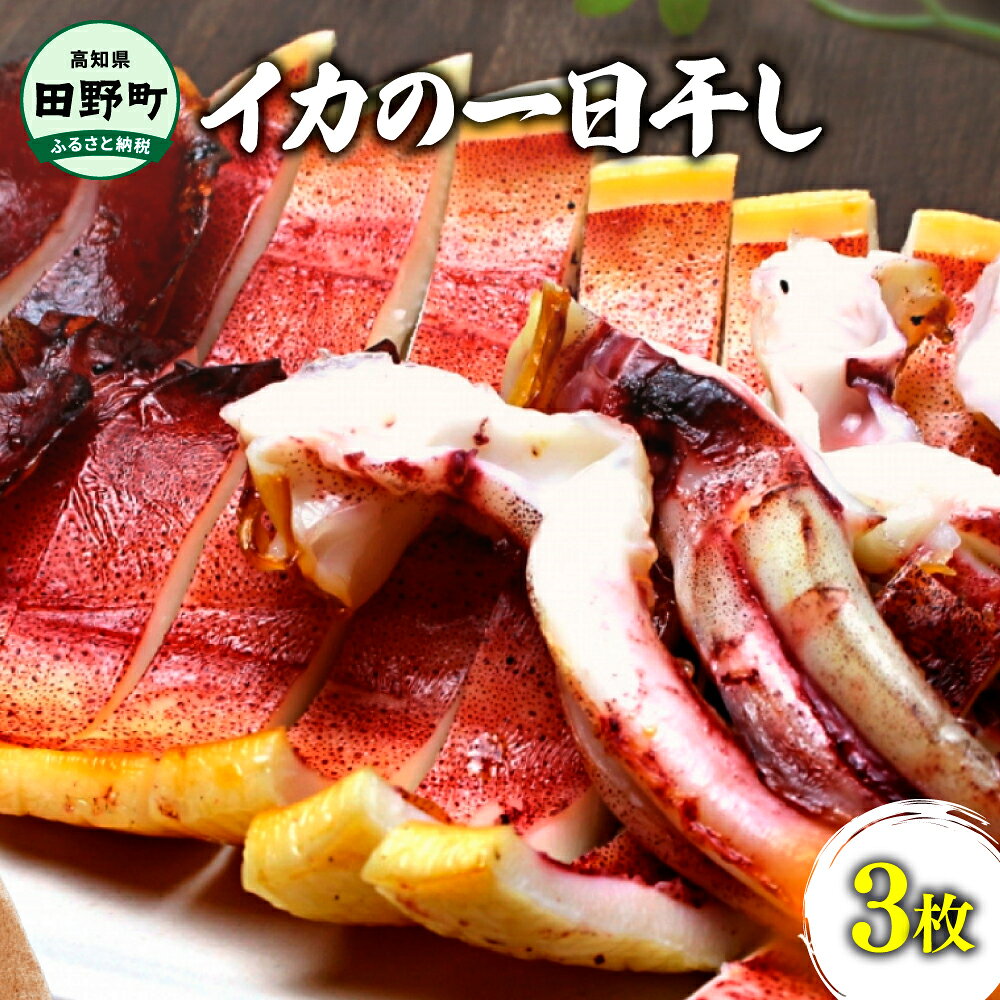 イカの一日干し3枚 スルメイカ イカ 一日干し 干物 加工食品 BBQ 肉厚 海鮮 うまみ おつまみ 酒のお供 冷凍 1枚約150g 産地直送 冷凍配送 焼くだけ 簡単 自慢 国産 お取り寄せグルメ 高知県産 土佐 高知 返礼品 故郷納税 ふるさとのうぜい 田野町