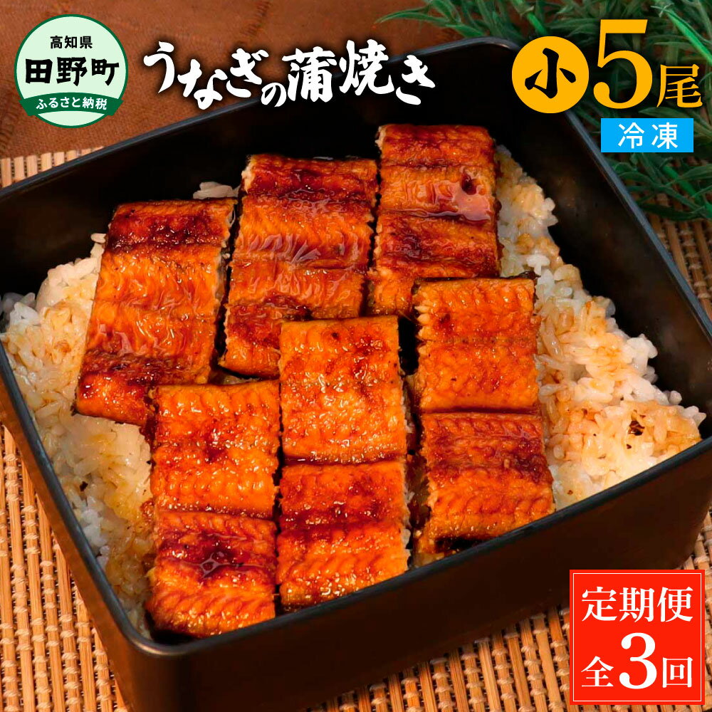 【ふるさと納税】田野町産うなぎの蒲焼き(小) 5尾×3回 定期便 3ヶ月 定期コース 1尾あたり90～120g タレ付き 山椒付き うなぎ 鰻 ウナギ 蒲焼き かば焼き 無頭 おいしい ふっくら 養殖 国産 お取り寄せ 冷凍 配送 送料無料 高知県 ふるさとのうぜい 故郷納税 返礼品 70000円