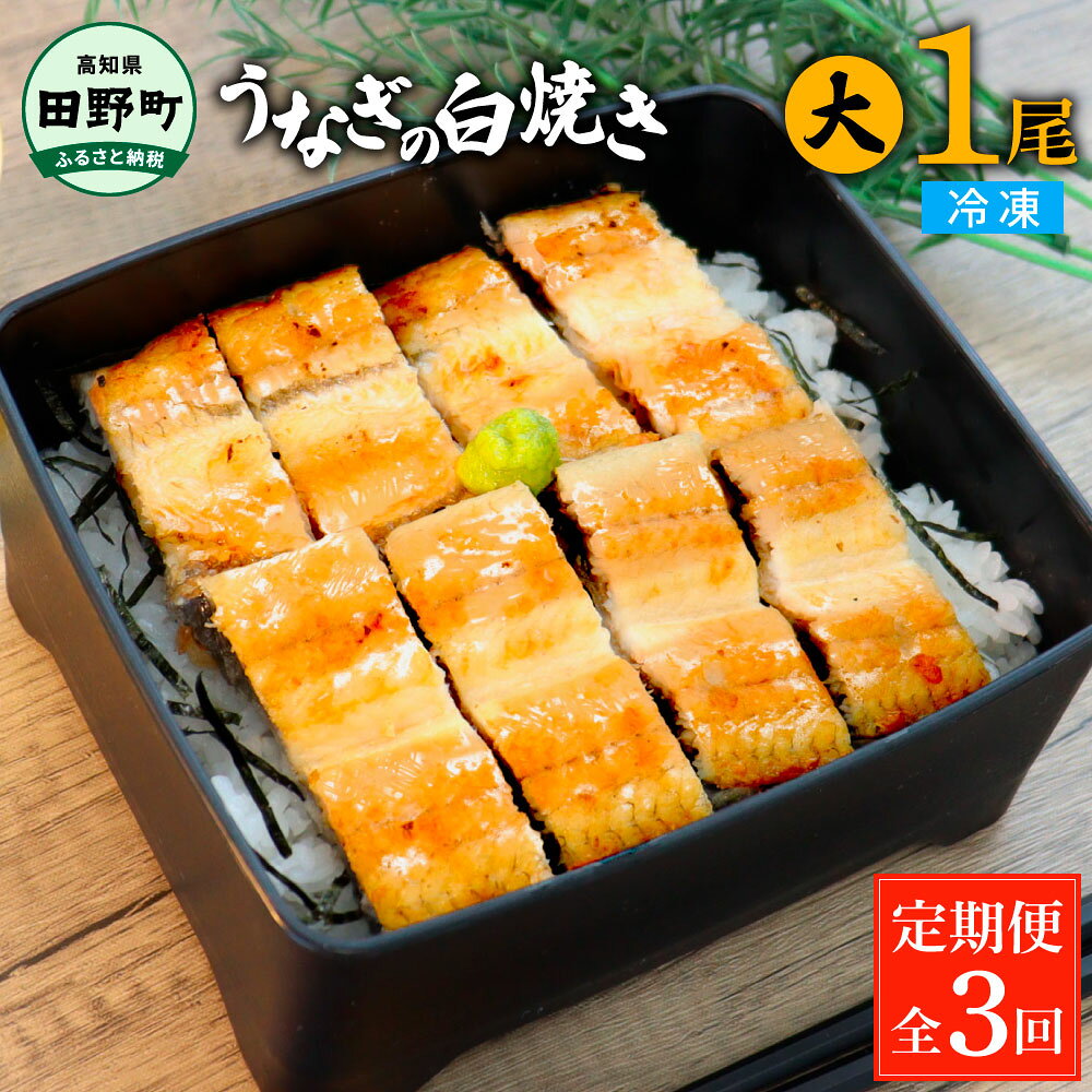 田野町産うなぎの白焼き(大) 1尾×3回 定期便 3ヶ月 定期コース 1尾あたり120～150g タレ 山椒付 うなぎ 鰻 ウナギ 白焼 無頭 おいしい 美味しい ふっくら 養殖 国産 個包装 お取り寄せ 冷凍 配送 送料無料 高知県 ふるさとのうぜい 故郷納税 返礼品 28000円