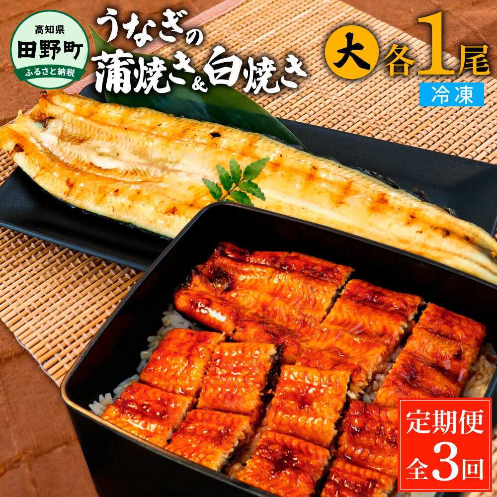 【ふるさと納税】田野町産うなぎの蒲焼き(大)+うなぎの白焼き(大) 各1尾×3回 定期便 3ヶ月 定期コース...