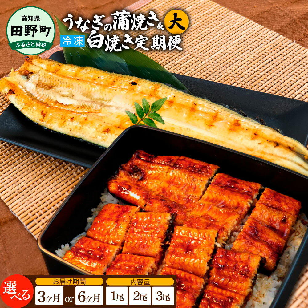 【ふるさと納税】田野町産うなぎの蒲焼き(大)+うなぎの白焼き(大)各1～3尾 定期便 3ヶ月 6ヶ月 定期コ...