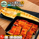 【ふるさと納税】田野町産うなぎの蒲焼き(大)+うなぎの白焼き(大)各1〜3尾 定期便 3ヶ月 6ヶ月 定期コース 1尾あたり120〜150g タレ・山椒付 うな...