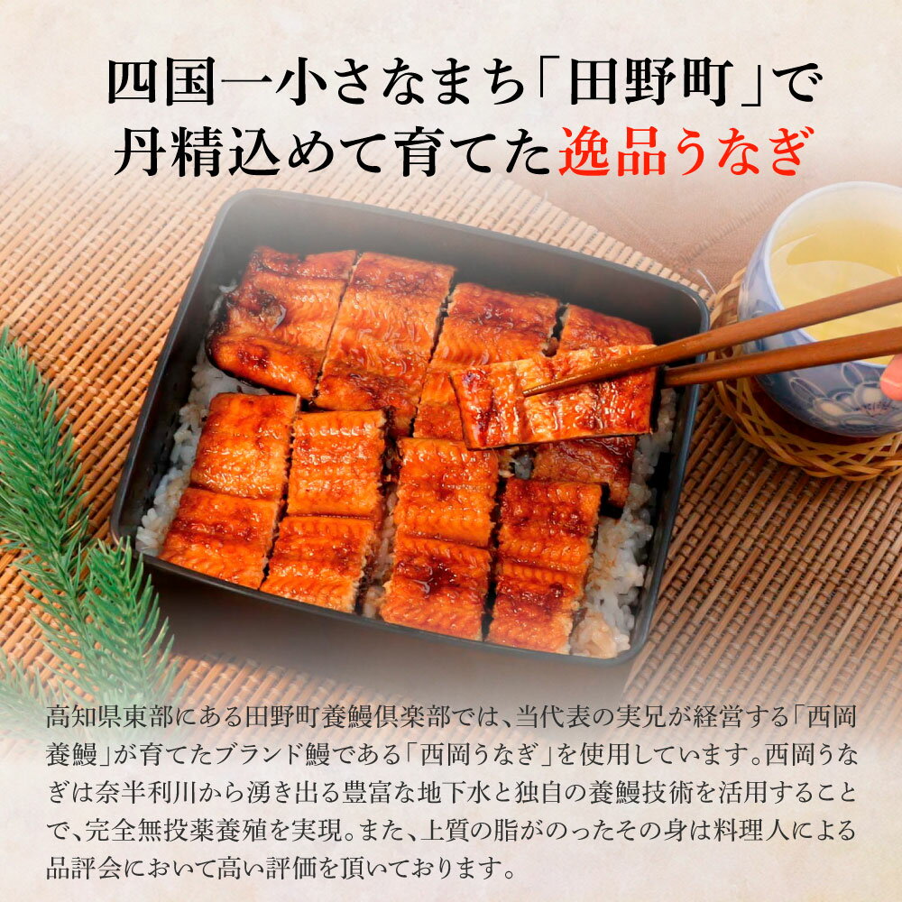 【ふるさと納税】田野町産うなぎの蒲焼き(大)+うなぎの白焼き(大) 各1尾×3回 定期便 3ヶ月 定期コース 1尾あたり120～150g タレ・山椒付 うなぎ 鰻 ウナギ 蒲焼き かば焼き 白焼 養殖 国産 お取り寄せ 冷凍 配送 送料無料 高知県 ふるさとのうぜい 故郷納税 返礼品 46000円