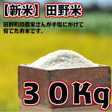 【ふるさと納税】平成30年産 田野米 30Kg 高知県田野町の農家さんが手塩にかけて育てた新米です。
