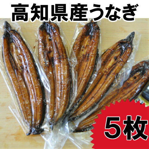 【ふるさと納税】高知県産うなぎの蒲焼き5枚　特製かば焼きのタレ　山椒　付き