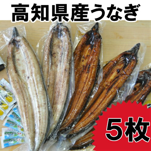 【ふるさと納税】高知県産うなぎの蒲焼き3枚　白焼き2枚　特製かば焼きのタレ　山椒　付き