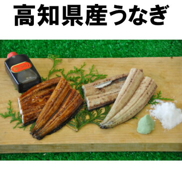 【ふるさと納税】高知県産うなぎの蒲焼き3枚　白焼き2枚　特製かば焼きのタレ　山椒　付き