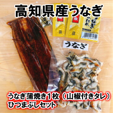 【ふるさと納税】高知県産うなぎの蒲焼き5枚 白焼き5枚 特製かば焼きのタレ 山椒 付き
