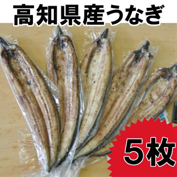 【ふるさと納税】高知県産うなぎの白焼き5枚