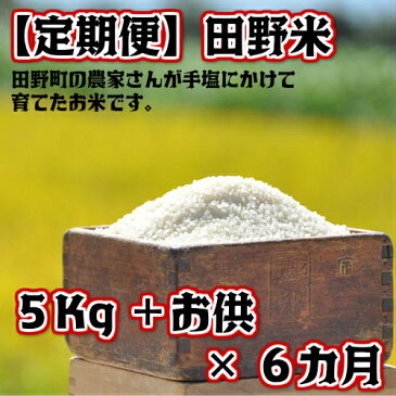 【ふるさと納税】定期便　平成30年産　田野米5Kg＋ご飯のお供×6回（10月から3月毎月届きます）　高知県田野町の農家さんが手塩にかけて育てた新米です。