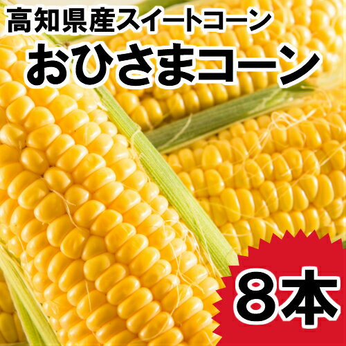 【ふるさと納税】こだわりのスイートコーン「おひさまコーン」8本　一本一本農家さんが手塩にかけて育てた「あまーいスイートコーン」です。高知県特有の暖かい気候と、日照時間の長さで、日光をいっぱいに浴びたコーンは糖度が高くなります。