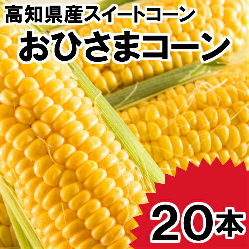 【ふるさと納税】こだわりのスイートコーン「おひさまコーン」20本　一本一本農家さんが手塩にかけて育てた「あまーいスイートコーン」です。高知県特有の暖かい気候と、日照時間の長さで、日光をいっぱいに浴びたコーンは糖度が高くなります。