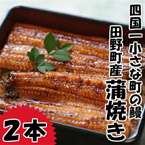 〜冷凍〜 四国一小さなまち田野町産うなぎの蒲焼き2本入り+特製ダレ+山椒付き 約120g〜150g×2本 うなぎ 鰻 ウナギ 国産 高知県産 冷凍 蒲焼 かばやき 特製タレ 高知 お取り寄せグルメ ふるさとのうぜい 故郷納税 16000円 返礼品