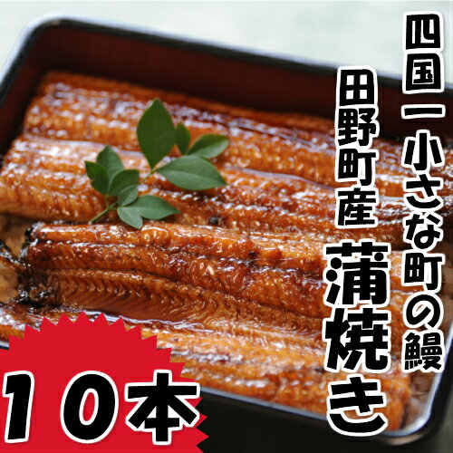 〜冷凍〜　四国一小さなまち田野町産うなぎの蒲焼き10本入り＋特製ダレ＋山椒付き 約120g～150g×5本 うなぎ 鰻 ウナギ 国産 高知県産 冷凍 蒲焼 かばやき 特製タレ 高知 お取り寄せグルメ ふるさとのうぜい 故郷納税 67000円 返礼品