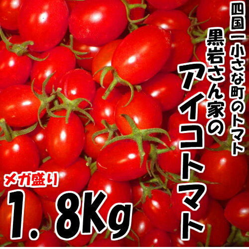 【ふるさと納税】四国一小さな町のトマト。高知県田野町で大事に育てられた大人気のアイコトマト1．8Kgです 