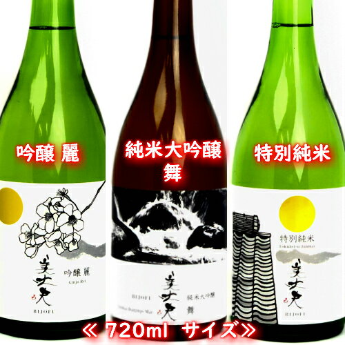 【ふるさと納税】★四国一小さなまちの地酒★　美丈夫(びじょうふ)　吟醸 麗・純米大吟醸 舞・特別純米　720ml　飲み比べ3本セットD！　酒 お酒 地酒 日本酒 セット 720 米 飲み比べ 美丈夫 びじょうふ 濱川商店 高知県 田野町 送料無料
