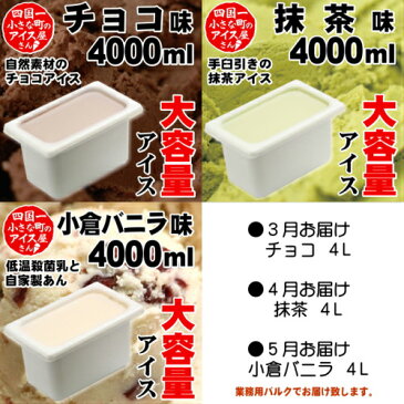 【ふるさと納税】≪令和3年3月発送開始≫ 〜四国一小さなまちのアイスクリーム屋さん〜 松崎冷菓の大容量アイス6ヶ月定期便(3月〜8月)
