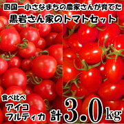 トマトセット
